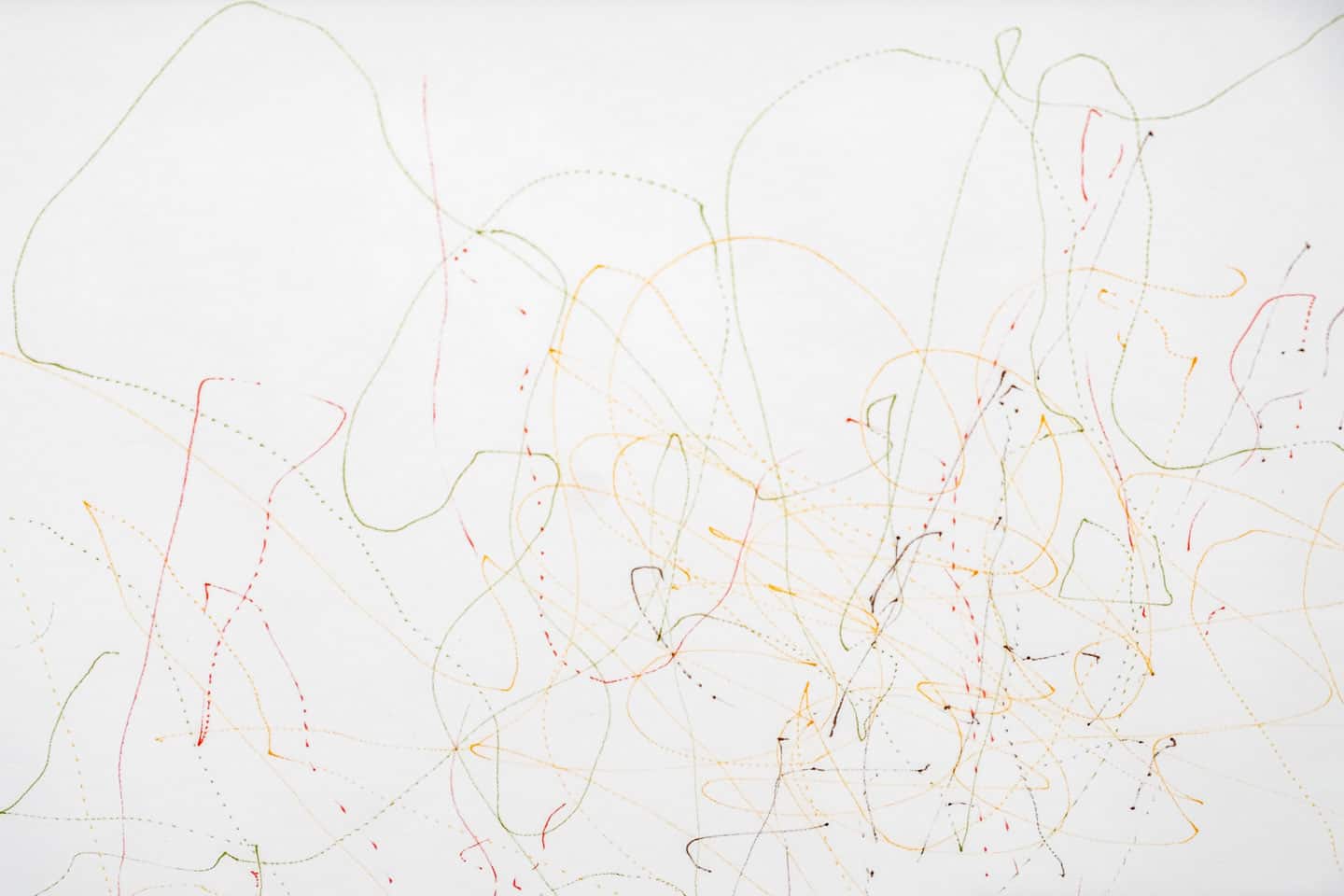 Luis Jacob at Patel Brown